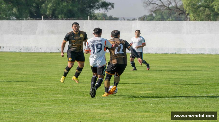 博鱼官方网站专业品质，打造精彩！